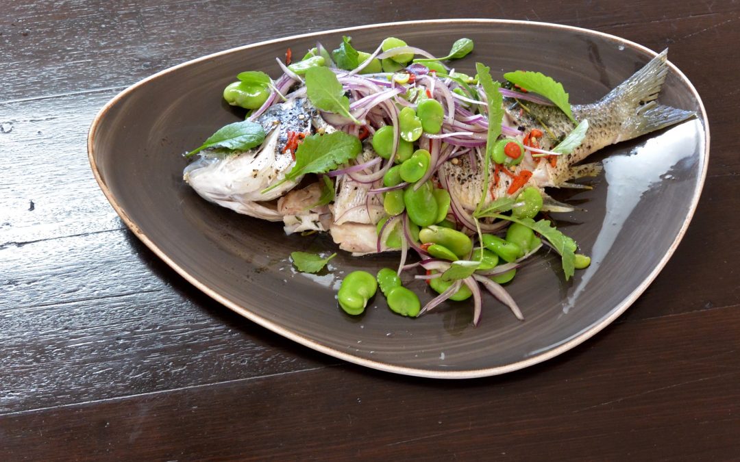 Steamed Yellow Fin Bream and Broad Bean Salad